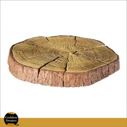 Pień 50 cm, imitacja drewna 50 x5,5 cm